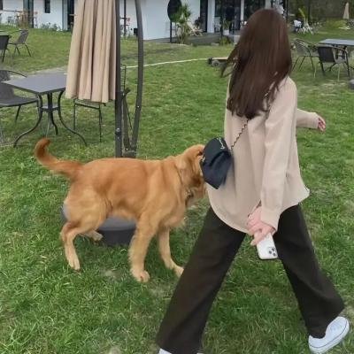南瓜恶灵：2血翼